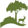 Woll Golf Course